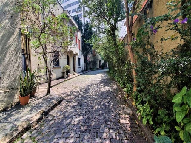 Casa para Locação em São Paulo - 3